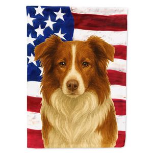 Grande bandiera multicolore in poliestere bandiera rossa bianca bordo Collie bandiera americana cortile Banner Artwork appeso a parete per la manica del portico - Product Image 1