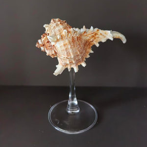 Ensemble cadeau unique de verres à champagne avec coquillages marins, verre à vin en forme de coquille marine, best-seller - Product Image 5