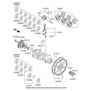 Nouveaux roulements de moteur Equus 210203F371 - Product Image 2