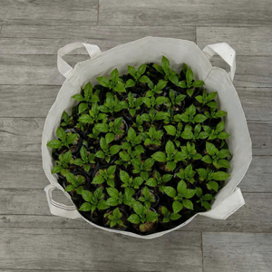 THUY LINH Panier de culture suspendu pour plantes et fleurs, en toile maillée laminée blanche, avec poignées en disque, pour jardin intérieur, imprimé sérigraphié - Product Image 3