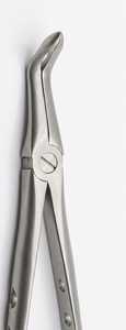 Forceps d'extraction dentaire pour molaires inférieures, à bec courbé et pointe dentelée, en acier inoxydable, réutilisables et autoclavables - Product Image 4
