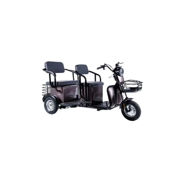 Hochwertiges Elektro-Dreirad 60V 800W Elektro-Dreiräger 3-Rad Elektro-Ladtrad zu verkaufenCE Öffnung Xe Dien 2 Banh