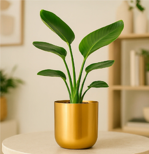 Brass Planter Pot Factory Supply Modern <b>Gold</b> Plated Metal Flower Pot with <b>Circular</b> Pattern for Indoor Desktop Use - Product Image 5