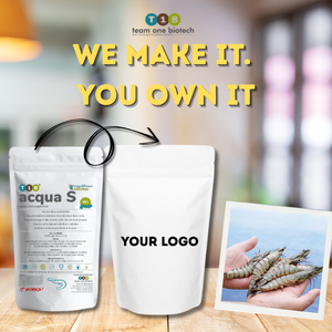 Probiotique pour crevettes Vannamei pour la stabilité aquatique et la croissance |   Solution Probiotique pour l'Élevage de Crevettes - Product Image 5