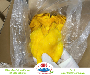 Rodajas de mango de secado suave de Vietnam con rico sabor a MANGO y dulzura natural, ideales para bocadillos, ventas minoristas y de exportación - Product Image 4
