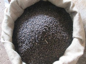 พริกไทยดำเวียดนามขายดี คุณภาพสูง เครื่องเทศรสเข้มข้น อบแห้ง ราคาส่ง - Product Image 6