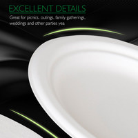 Assiettes à dessert jetables écologiques robustes personnalisées, design moderne, en bagasse, sûres, compostables, biodégradables, plateau BIOPOLY