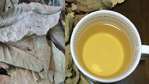 ใบฝรั่งเวียดนามคุณภาพสูง แห้ง สำหรับชาลดน้ำหนัก ใช้ต้านเชื้อแบคทีเรีย บรรจุถุง PP 40 กก. อายุการเก็บรักษา 24 เดือน บรรจุภัณฑ์สำหรับส่งออก - Product Image 2