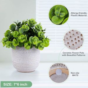 Simpatiche Piante Artificiali di Lysimachia, Fiori Finti e Vegetazione in Vaso di Ceramica per Decorazione Casa, Ufficio, Tavolo, Scrivania, Soggiorno - Product Image 3