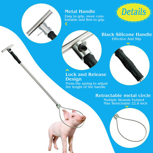 เครื่องมือจัดการสัตว์ในฟาร์มที่ใช้งานได้จริง ที่จับหมูที่ทนทานพร้อมดีไซน์ตามหลักสรีรศาสตร์ โครงสร้างที่เชื่อถือได้ และสะดวกสบาย - Product Image 6