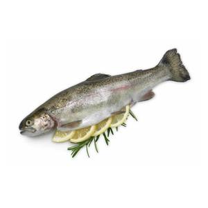 Truite fraîche à bas prix, portion de poisson de haute qualité préparée pour une expédition en gros volume et une livraison rapide - Product Image 1