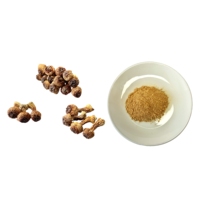 Poudre de Champignons Agaricus Blazei pour Aliments Santé