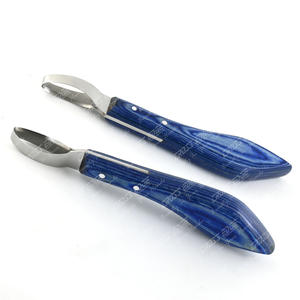 Couteaux professionnels de sabot de maréchal-ferrant équipement vétérinaire Sharpe coupe sabots de nettoyage pour chevaux équins couteaux de sabot d'animaux - Product Image 1