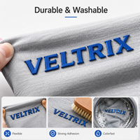 Logo en silicone 3D personnalisé avec lettres en relief pour T-shirt, vêtements de sport, vêtements de loisirs, étiquette de transfert thermique pour vêtements OEM