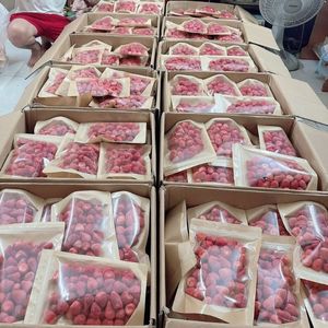 สตรอว์เบอร์รีฟรีซดรายรักษ์โลก คุณภาพส่งออก เกรดขนมหวาน - Product Image 2