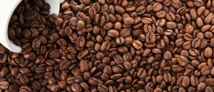 Organic Robusta Roasted and Ground Vietnam Coffee USDA Certified, only 0.1% Black & Broken, Export Quality Standard - Product Image 4