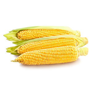 Granos de Maíz Natural Puro de Alta Calidad, Maíz Amarillo para Animales/Sin OMG, Bolsas Amarillas Canadá, Bolsas Blancas AD/Al Por Mayor/Personalizado - Product Image 1