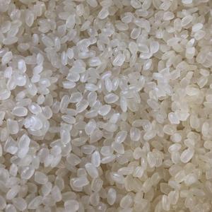 Arroz para Sushi Koshihikai |   El arroz Japonica más vendido en Polonia - Product Image 2