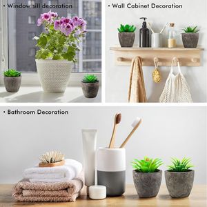 Set di 6 Piante Artificiali Realistiche, Piccole Succulente Finte con Vasi, Vegetazione Artificiale Realistica per Arredamento Casa - Product Image 5