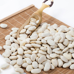 Frijoles Blancos Orgánicos de Alta Calidad, Nuevos, al por Mayor | Frijoles blancos oscuros secos de forma alargada |   Proveedor de Productos a Granel de Alta Calidad - Product Image 1