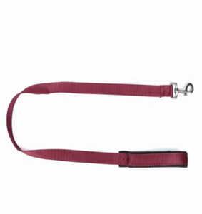 High quality Nylon Dog Leash Comfortable Foam Grip Durable <b>Pet</b> Walking Lead OEM Supplier in bulk quantity - Product Image 2