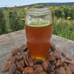 Huile de Karanja en gros, pressée à froid, durée de conservation de 24 mois, emballage personnalisé 250ml 500ml 1000ml 5L 10L - Product Image 1