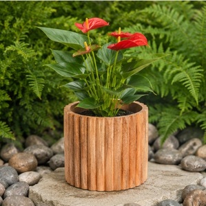 Jardinière en bois de manguier écologique, pot de fleurs moderne pour jardin intérieur et décoration de bureau à domicile, pots en bois personnalisables en gros - Product Image 4