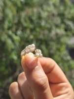 Dramatik Asimetrik Armut Yuvarlak Elmas Botanik Küme Tasarımlı Sarı Altın Yarımlı Bant Yüzük