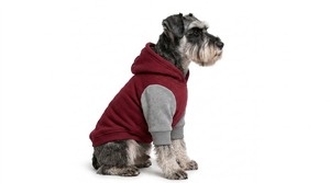 Sweat-shirts pour chiens de qualité supérieure avec tissu doux, coupe élégante, respirant, confortable et chaud pour les promenades quotidiennes, les jeux et les aventures en plein air - Product Image 5