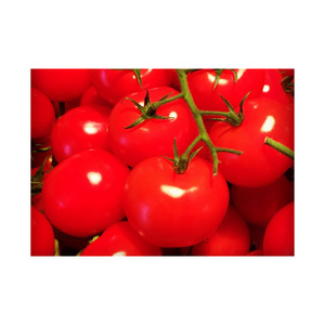 Wholesale Best Price Supplier of <b>Fresh</b> <b>Vegetables</b> Tomatoes with Fast Delivery - Product Image 1