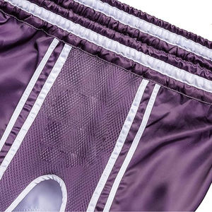 Équipement d'entraînement avec logo frontal pour la boxe et les arts martiaux, short de Muay Thai en satin pour homme avec ceinture élastique pour l'entraînement - Product Image 3