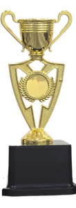 Manufacture Good Price Double Ears Plastic UV Printed Trophy Cup Award Business Gift Sport Activities Promotional Universal - Product Image 2