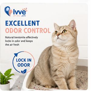 Litière pour chat en granulés ronds de bentonite premium, anti-poussière, anti-adhérente, disponible en gros pour les animaleries et l'importation. - Product Image 3