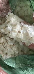 Écailles de poisson séchées en gros pour la production de peptides de collagène à haut rendement, matière première nettoyée et séchée au soleil pour les marchés d'exportation mondiaux - Product Image 2