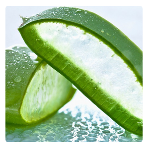 2025สินค้าร้อน | วุ้นว่านหางจระเข้สำหรับเครื่องดื่ม | ธรรมชาติและกินได้ | สมบูรณ์แบบสำหรับน้ำผลไม้และสมูทตี้ - Product Image 6