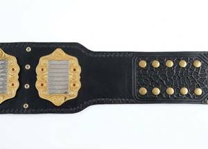 Cinturón de Campeonato IWGP de Peso Pesado, Doble Capa, Chapado en Oro, Resistente al Agua, 4 Placas Laterales Premium para Jiu-Jitsu y Karate - Product Image 6