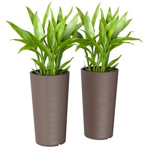 Ensemble de 2 pots de fleurs en plastique brun pour l'extérieur, design gain de place pour une présentation pratique des plantes - Product Image 5