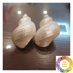 Natural Shell Napkin Ring Handmade Coastal <b>Table</b> <b>Accessory</b> for Wedding Banquet Dining Events and Rustic Home <b>Decor</b> - Product Image 2