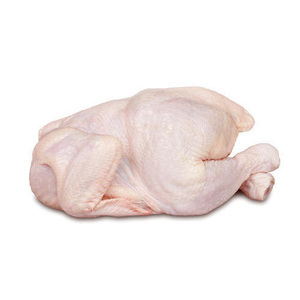 ผู้จัดจำหน่ายไก่แช่แข็งทั้งตัวแบบขายส่ง บรรจุภัณฑ์พรีเมียมแบบขายส่ง พร้อมจัดส่ง คุณภาพสำหรับการส่งออก - Product Image 1