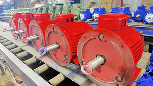 Moteur électrique triphasé AC asynchrone industriel OEM IP55 IP56 avec boîtier en fonte, résistant à la chaleur, classe C - Product Image 6