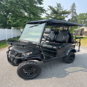 Carritos de Golf Directo de Fábrica, Personalizados, Eléctricos, para Caza, con Más de 8 Asientos, Controlador Curtis, Chasis de Aluminio, CE - Product Image 1