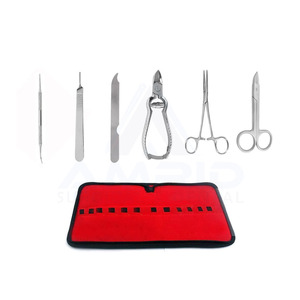 Nuevo Kit de Podología para el Hogar, 6 Piezas, Instrumentos de Acero Inoxidable Alemán con Estuche de Cuero por amrid surgical - Product Image 1