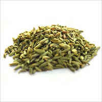 Aceite de Semillas de Diente de Hinojo de Primera Calidad, Puro y Natural, 100% Orgánico, Venta al por Mayor, Fabricante Confiable, Exportación de la India, Alta Calidad - Product Image 3