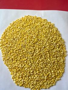 ถั่วเขียวอินเดียสีเหลืองธรรมชาติ คุณค่าทางโภชนาการสูง เหมาะสำหรับการทำอาหารประจำวัน ผลิตขนมขบเคี้ยว บรรจุภัณฑ์ขนาดใหญ่ ขายส่ง - Product Image 3