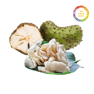 Soursop Séché Moelleux Gourmet 500 Grammes – Sac Premium pour Distributeurs Alimentaires Mondiaux Concevant des Collections de Fruits Exotiques - Product Image 2