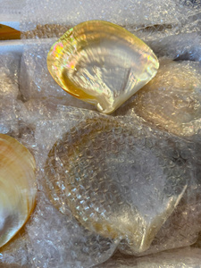 ถาดเปลือกหอยมุกธรรมชาติขัดเงา จานใส่ไข่ปลาคาเวียร์ งานฝีมือประณีต ของขวัญสุดหรู ขายส่ง - Product Image 2