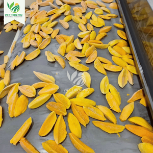 Mangues surgelées IQF de haute qualité en provenance du Vietnam, meilleur prix - Product Image 5