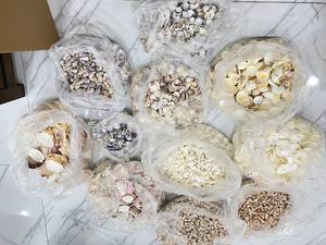 เปลือกหอยเชลล์ธรรมชาติขนาดใหญ่ OEM สำหรับตกแต่งโต๊ะอาหาร ทำมือ เป็นมิตรกับสิ่งแวดล้อม เหมาะสำหรับร้านอาหารและงานจัดเลี้ยง BLUE LOTUS - Product Image 5