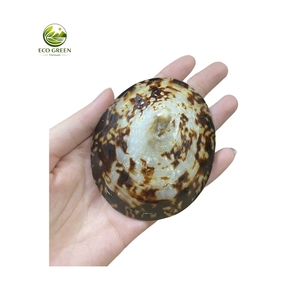 Conchas de Limpet Ovaladas Pulimentadas, Ecológicas y Sostenibles, Par para la Elaboración de Joyería Artesanal, Decoración del Hogar y Coleccionismo Artístico - Product Image 6