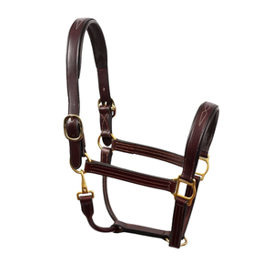 ZUMA ENTERPRISES Harnais en cuir marron pour cheval, collier réglable rembourré, quincaillerie en laiton massif, accessoires d'équitation et d'entraînement, modèle - Product Image 3